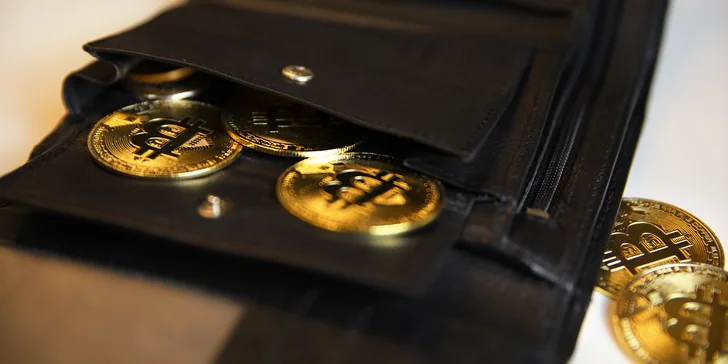 Kurzy kryptoměn pro začátečníky: nákupní minimum i komplexní lekce