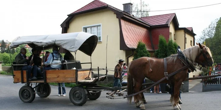 Výlet kousek od Prahy: Rodinná jízda koňským povozem na Křivoklátsku