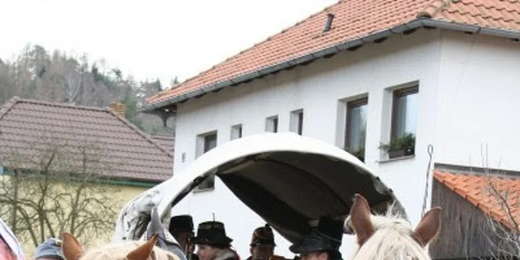 Výlet kousek od Prahy: Rodinná jízda koňským povozem na Křivoklátsku
