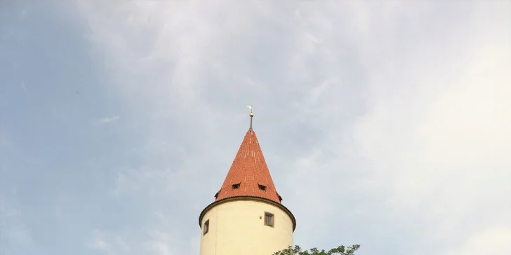 Výlet kousek od Prahy: Rodinná jízda koňským povozem na Křivoklátsku