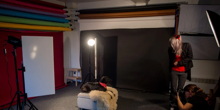 Nechte si pořídit krásné fotky vašeho mazlíčka od profesionální fotografky