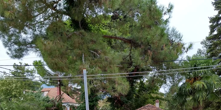 Za pohodou na Chalkidiki: ubytování ve studiu a doprava busem