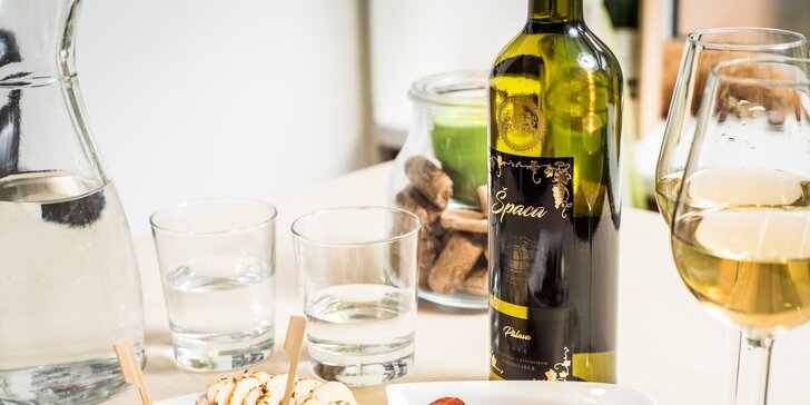 Chvilka pohody u skleničky: Degustace kvalitních vín dle výběru a občerstvení