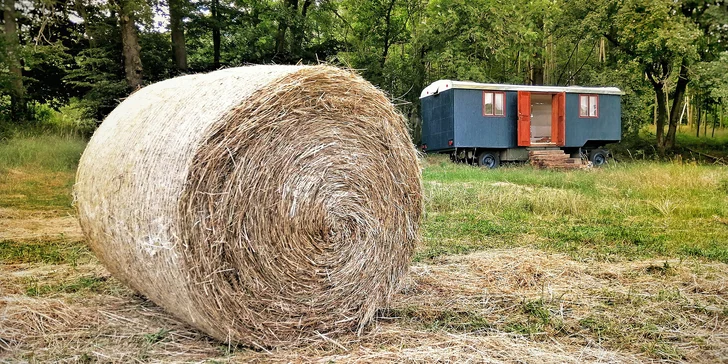 Pod hvězdnou oblohou: odpočinkový pobyt ve vybavené maringotce