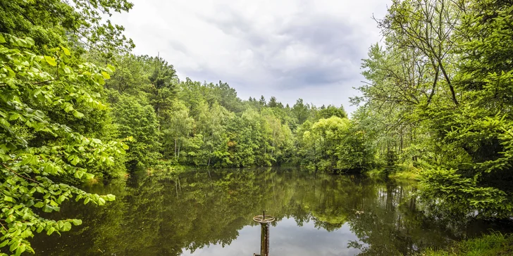 4* relaxace v Resortu Johanka na Vysočině: polopenze a neomezený wellness