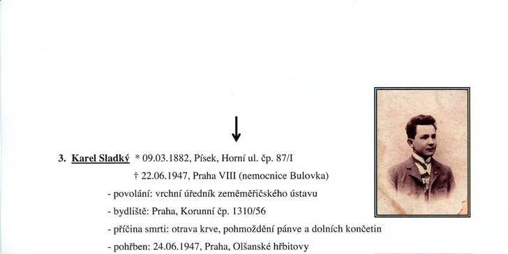 Rodokmen z otcovské nebo mateřské linie až do 5. generace i s přílohami a rodovým stromem