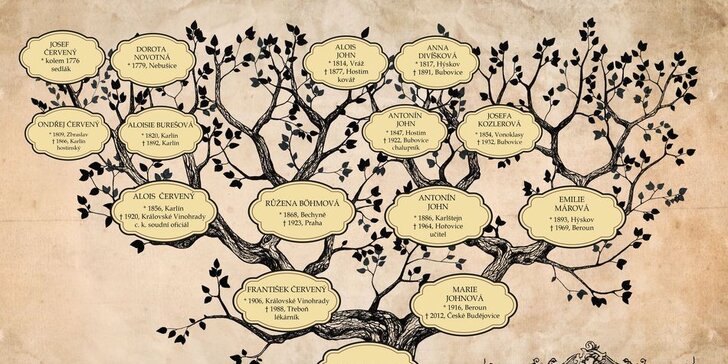 Rodokmen z otcovské nebo mateřské linie až do 5. generace i s přílohami a rodovým stromem