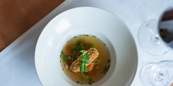Degustační menu v klasicistním zámečku i vstup do wellness pro 2 osoby