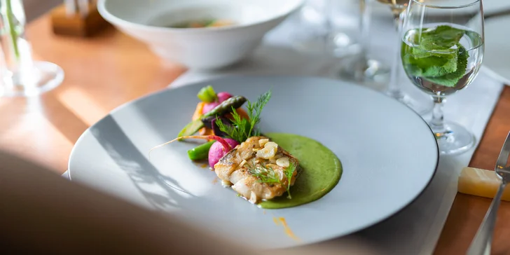 Degustační menu v klasicistním zámečku i vstup do wellness pro 2 osoby