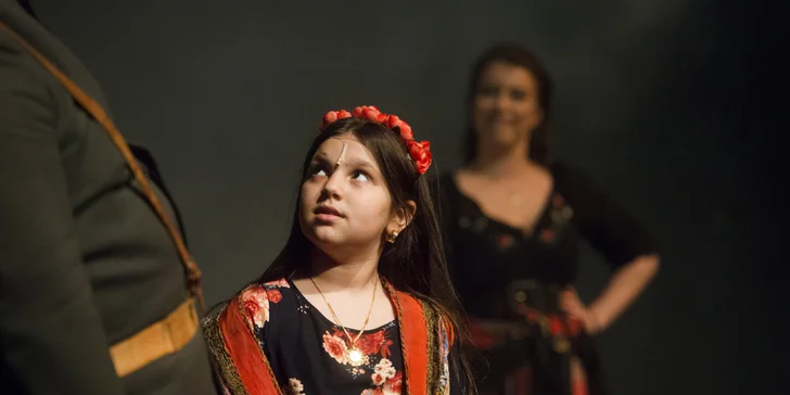 Vstupenka na vybraný muzikál a činohru do Divadla Bez zábradlí