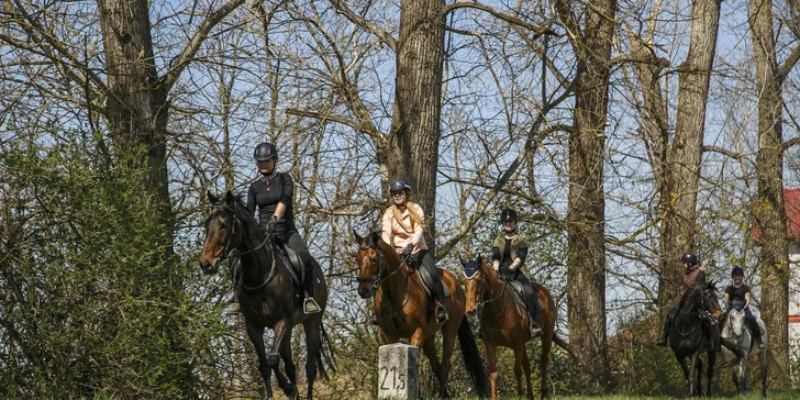 Pobyt na farmě kousek od Znojma: 2 noci až 14 dní i se snídaní či polopenzí a projížďkou v koňském sedle