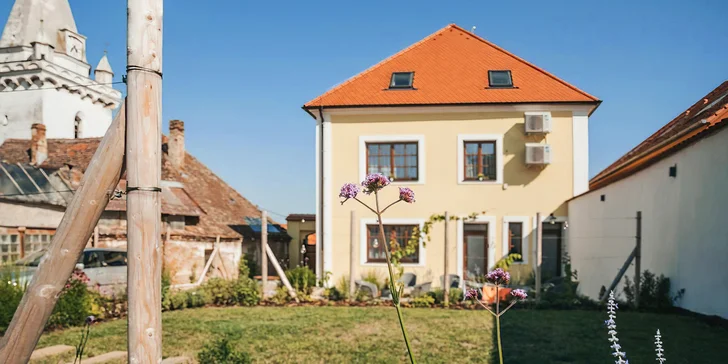 Zážitkový pobyt v srdci Pálavy včetně degustace místních vín v historickém sklípku