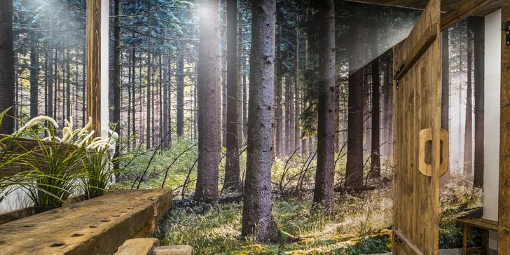 Luxusní pobyt v centru Zakopaného: moderní apartmány až pro 6 osob i neomezený wellness