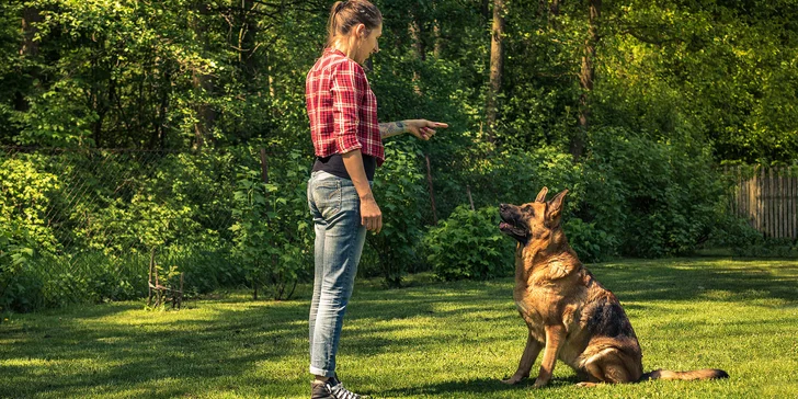 Individuální online konzultace pro výchovu vašeho pejska i s možností přístupů do videokurzů