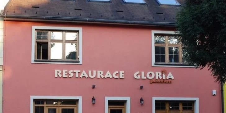 Dva 350g burgery s vepřovým a hovězím masem a steakové hranolky