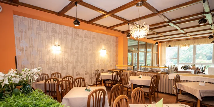 Pobyt v Jeseníkách: hotel u Dlouhých strání s polopenzí a wellness