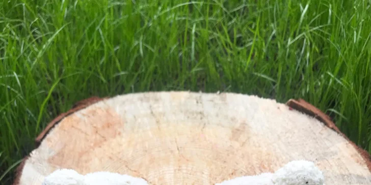 Donut a káva v pardubickém OC Atrium: espresso či americano, plněné a neplněné dezerty