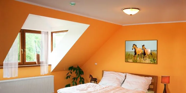 Až 4denní pohoda na koňské farmě u Liberce: snídaně či polopenze, wellness i farmářské zážitky