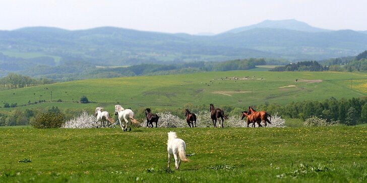 Jarní pohoda na koňské farmě u Liberce: snídaně či polopenze i wellness