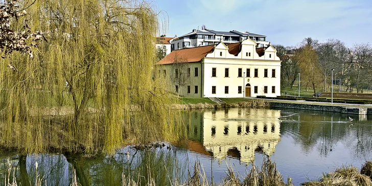 Hostina kousek od Pražského hradu: krevety, panenka, hovězí rumpsteak i sacher a víno