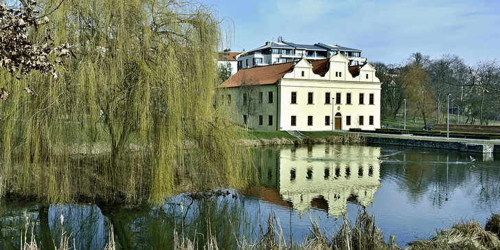 Hostina pro dva kousek od Pražského hradu: krevety, panenka, hovězí rumpsteak i Sacher dort