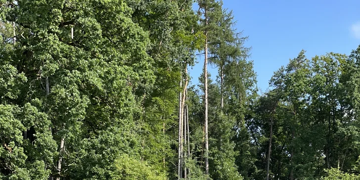 Pohádkový relax poblíž Českého ráje: domek s terasou na břehu rybníka, snídaně a sekt i vyjížďka pramicí