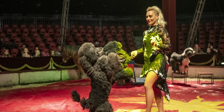 Hurá do Cirkusu Humberto na zbrusu novou show: akrobati, klauni i exotická zvířata v Hodoníně