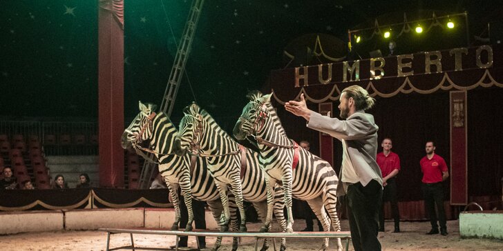 Hurá do Cirkusu Humberto na zbrusu novou show: akrobati, klauni i exotická zvířata v Třebíči