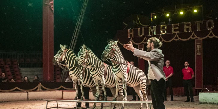 Hurá do Cirkusu Humberto na zbrusu novou show: akrobati, klauni i exotická zvířata v Hodoníně