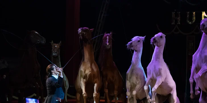 Hurá do Cirkusu Humberto na zbrusu novou show: akrobati, klauni i exotická zvířata v Hodoníně