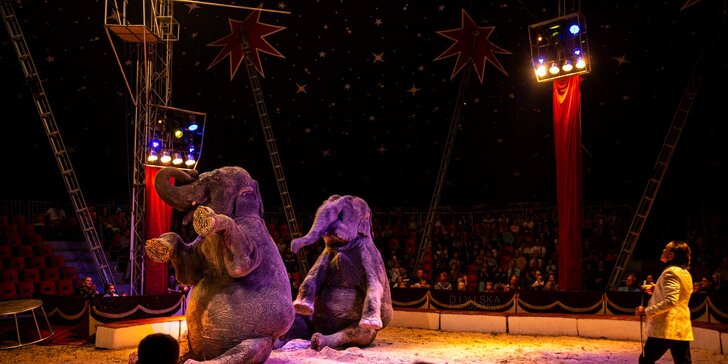 Hurá do Cirkusu Humberto na zbrusu novou show: akrobati, klauni i exotická zvířata
