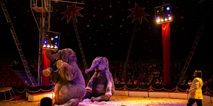 Hurá do Cirkusu Humberto na zbrusu novou show: akrobati, klauni i exotická zvířata v Praze