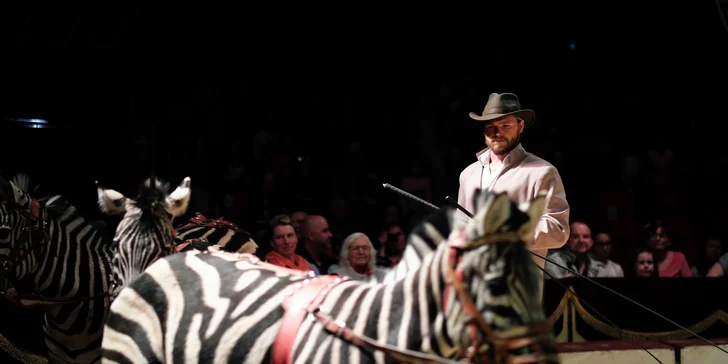 Hurá do Cirkusu Humberto na zbrusu novou show: akrobati, klauni i exotická zvířata v Praze