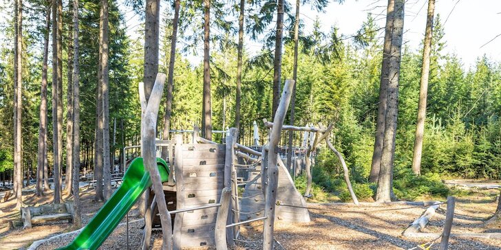 Relax u Lipna: wellness, polopenze, na výběr vstupy na Stezku korunami stromů či do Království lesa