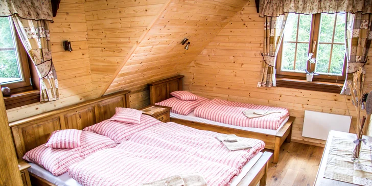 Exkluzivní dovolená v Malé Fatře: pobyt v komfortních apartmánech nebo na chatě Alpina