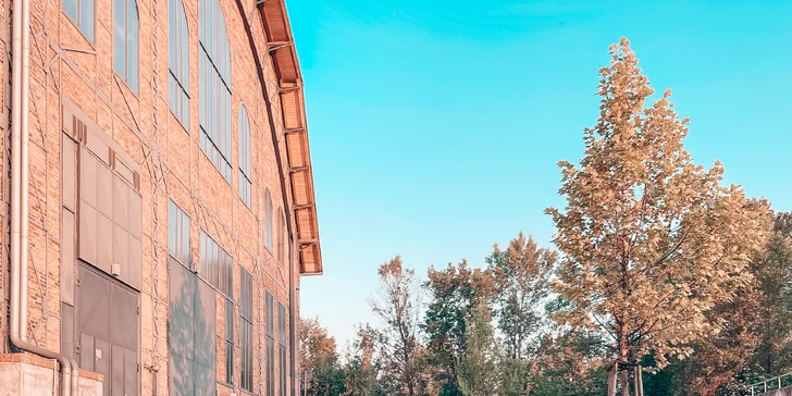 Staňte se hvězdou Instagramu díky online kurzu Nainstáč: 37 videí v délce 90 min. i e-book