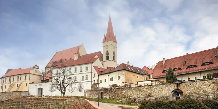Pobyt s večeří na grilu i degustací vína ve vinném sklepě ve Znojmě