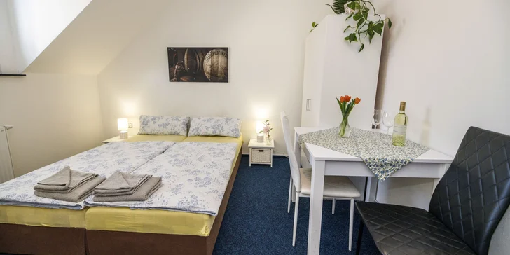 Pobyt se snídaní i degustací vína ve vinném sklepě ve Znojmě