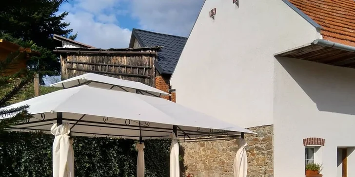 Exkurze na šnečí farmu pro 1–6 osob: prohlídka s výkladem i ochutnávka vyhlášených specialit