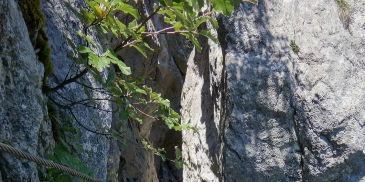 Zájezd do hor a na ferraty s průvodcem: Rakousko, Slovinsko i Itálie