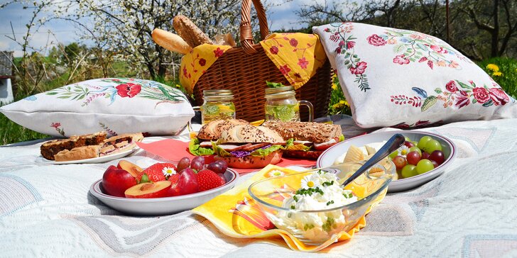 Pobyt v rodinném penzionu Krasíkov: snídaně, víno, minizoo i piknikový koš