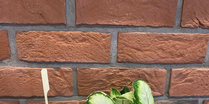 Dobroty do ruky u táborského nádraží: langoš, belgické hranolky i celé sýrové menu