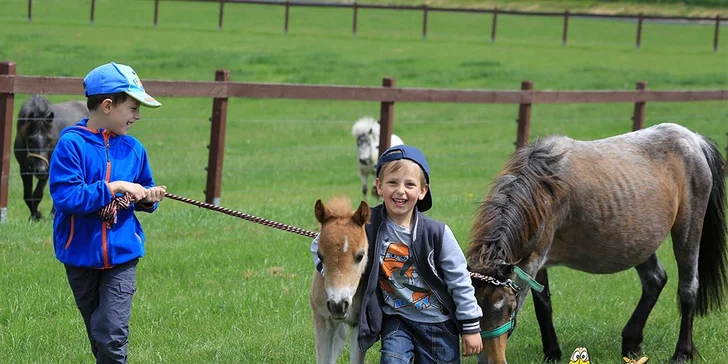 Prima rodinná dovolená: polopenze, hry i Farmapark Soběhrdy, animační program