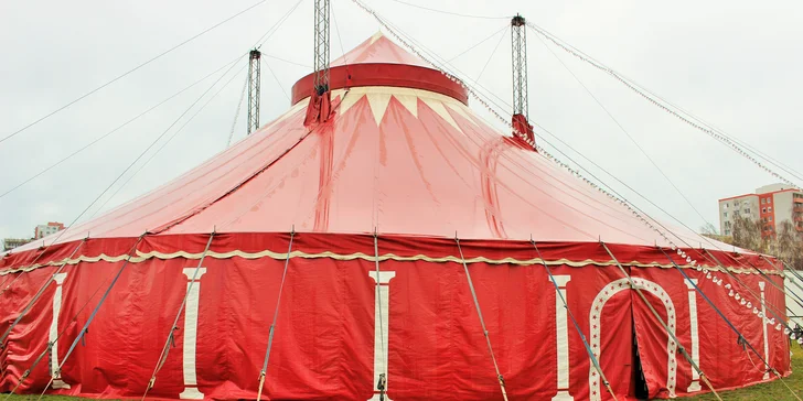 Paranormal Cirkus: 110 minut zábavy bez hranic míří do Prostějova