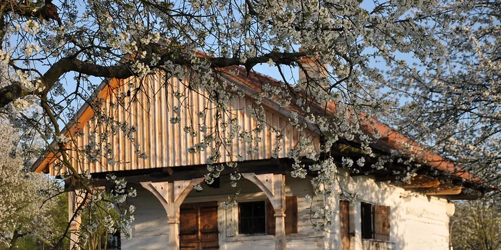 Vstupenka do skanzenu, Muzea Kouřimska i na výstavu o včelách pro jednotlivce i rodinu