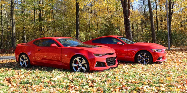 ŘIdičem či spolujezdcem ve Fordu Mustang: 15–45 minut jízdy nebo pronájem na celý den
