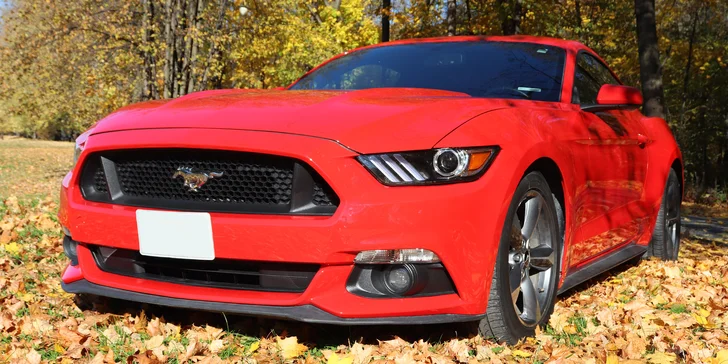 ŘIdičem či spolujezdcem ve Fordu Mustang: 15–45 minut jízdy nebo pronájem na celý den