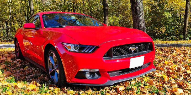ŘIdičem či spolujezdcem ve Fordu Mustang: 15–45 minut jízdy nebo pronájem na celý den