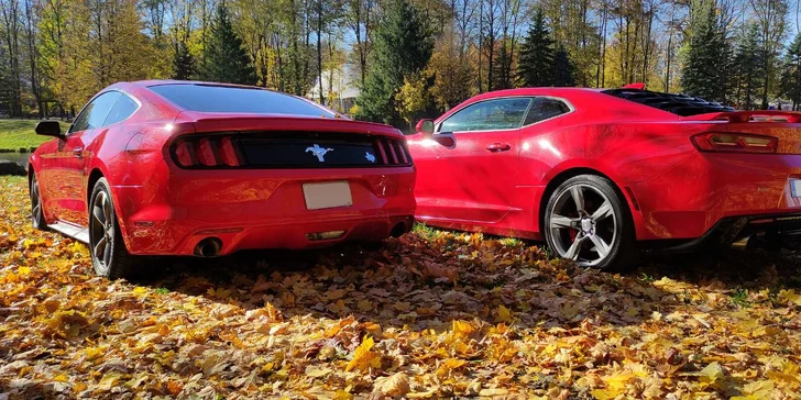ŘIdičem či spolujezdcem ve Fordu Mustang: 15–45 minut jízdy nebo pronájem na celý den