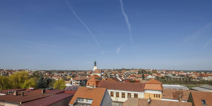 Pobyt v království vína: 1 nebo 2 noci na zámku Čejkovice s polopenzí a prohlídkou zámku